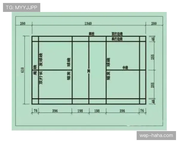 球场尺寸规则：国际赛与业余场地的长宽标准与常见误区