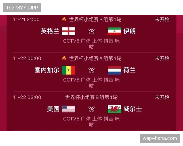 塞内加尔世界杯小组赛战报：晋级形势与结果整理
